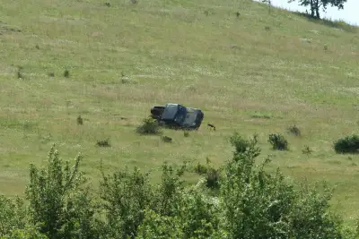 4×4 Crazy Job — Stara Zagora 2008 — photo 6 of 23